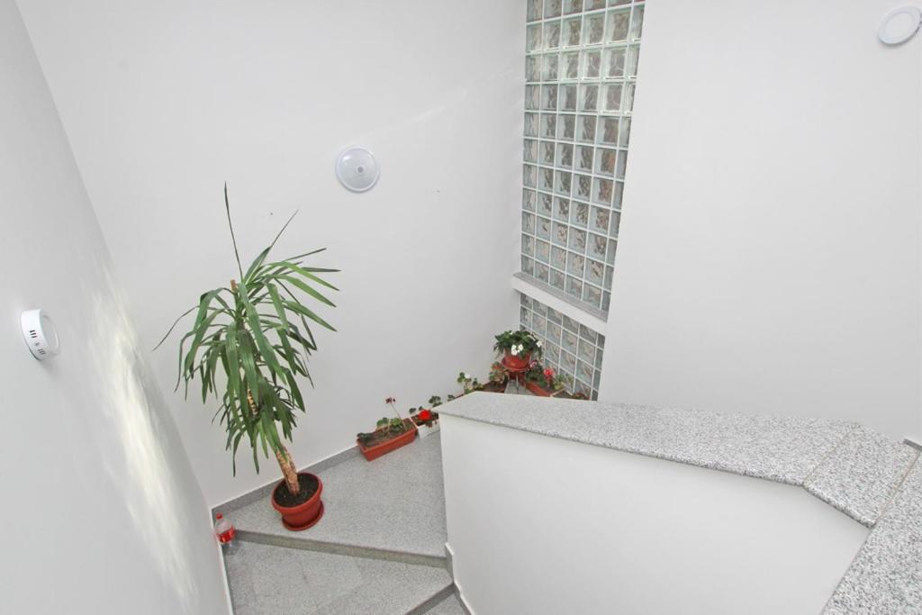 Imas Apartment Sarajevo Exteriér fotografie